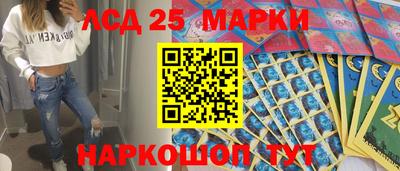 apvp Краснодар