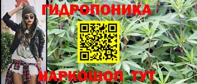 амф Краснознаменск