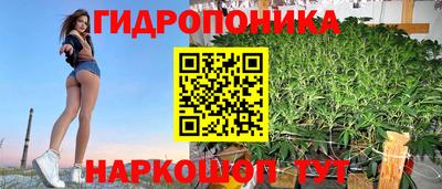 apvp Краснодар