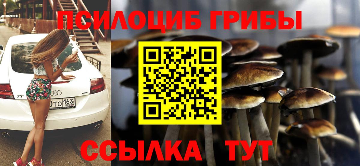 Псилоцибиновые грибы мицелий Коркино